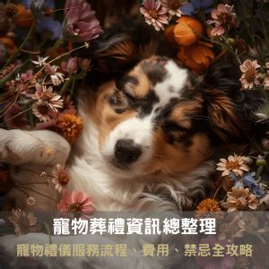 寵物過世埋起來|寵物葬禮資訊總整理｜寵物禮儀服務流程、費用、禁忌 